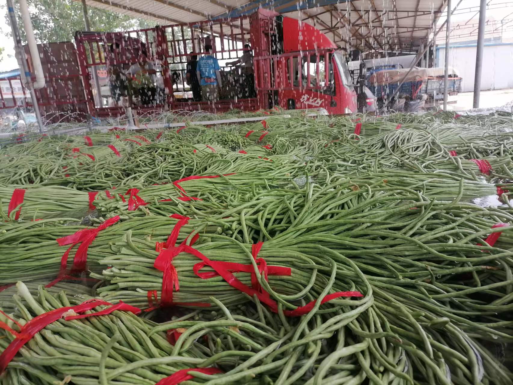 农产品交易市场场景