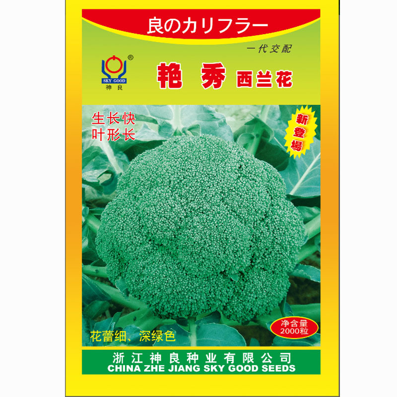进口艳秀西兰花种子夏季超炎秀青花菜有机蔬菜种子早中熟耐抽