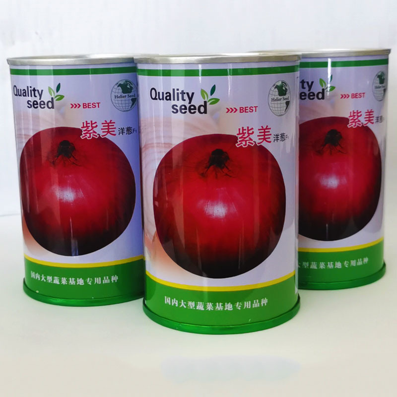 早熟洋葱种子高产抗病秋冬味甜紫扁圆葱200克