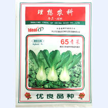 青梗菜种子小白菜理想65青菜种子种籽耐热青梗菜鸡毛