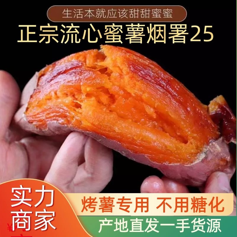 河北雄县红薯，烟薯25，供应各大商超，各种包装。