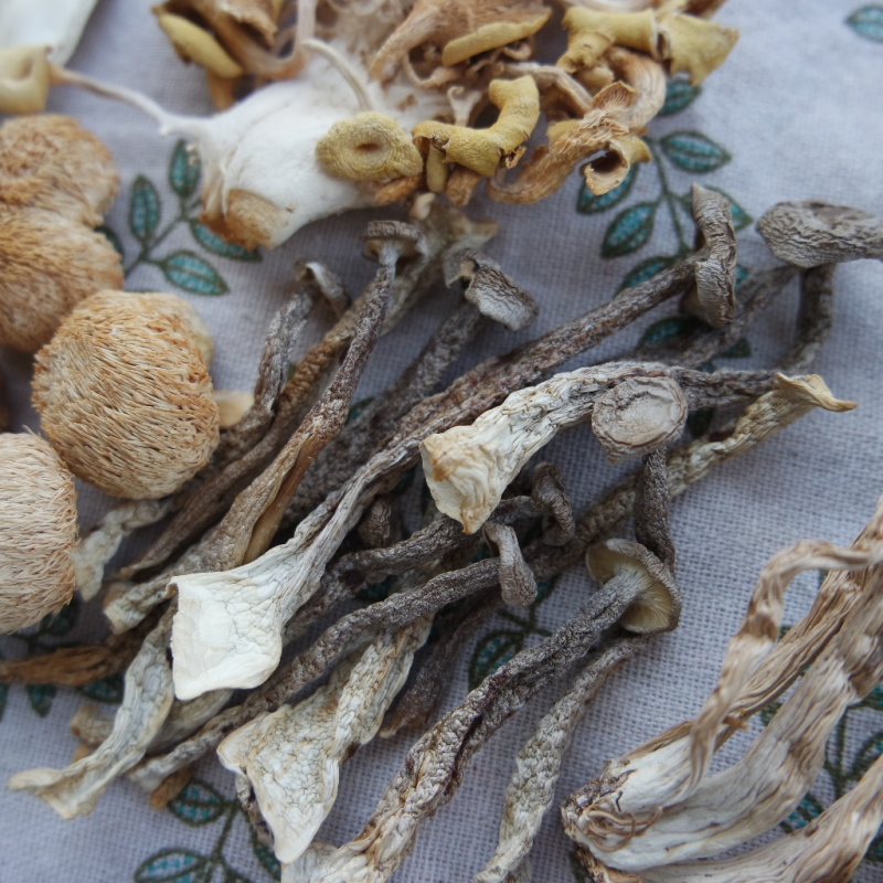 菌汤包杜鹃厂家批发福建古田食用菌干货精选菌菇优质菌汤包