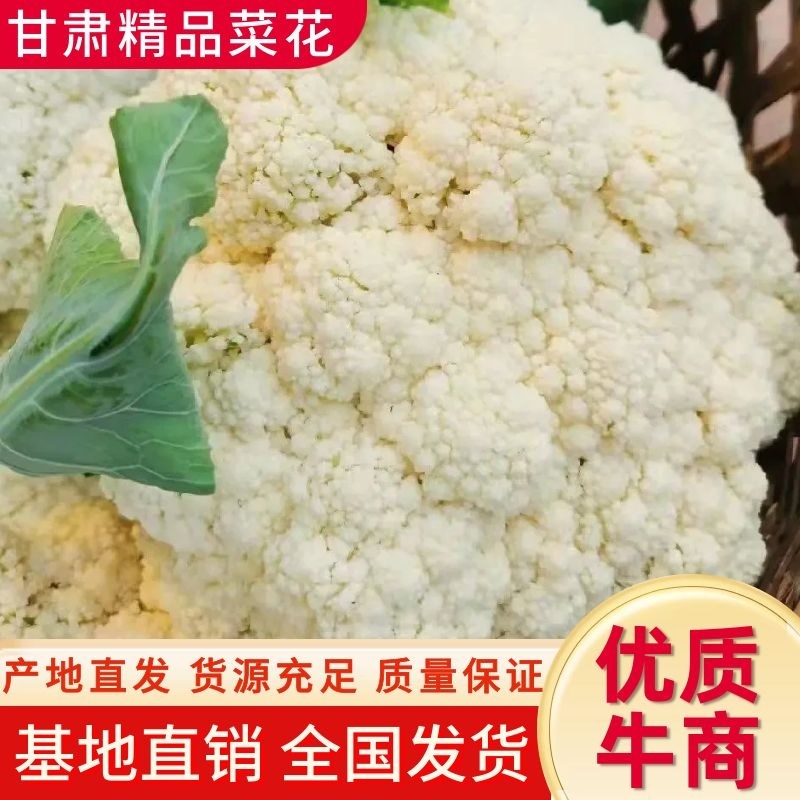 精品花菜有机花青梗白面精品商超**产地直销欢迎联系
