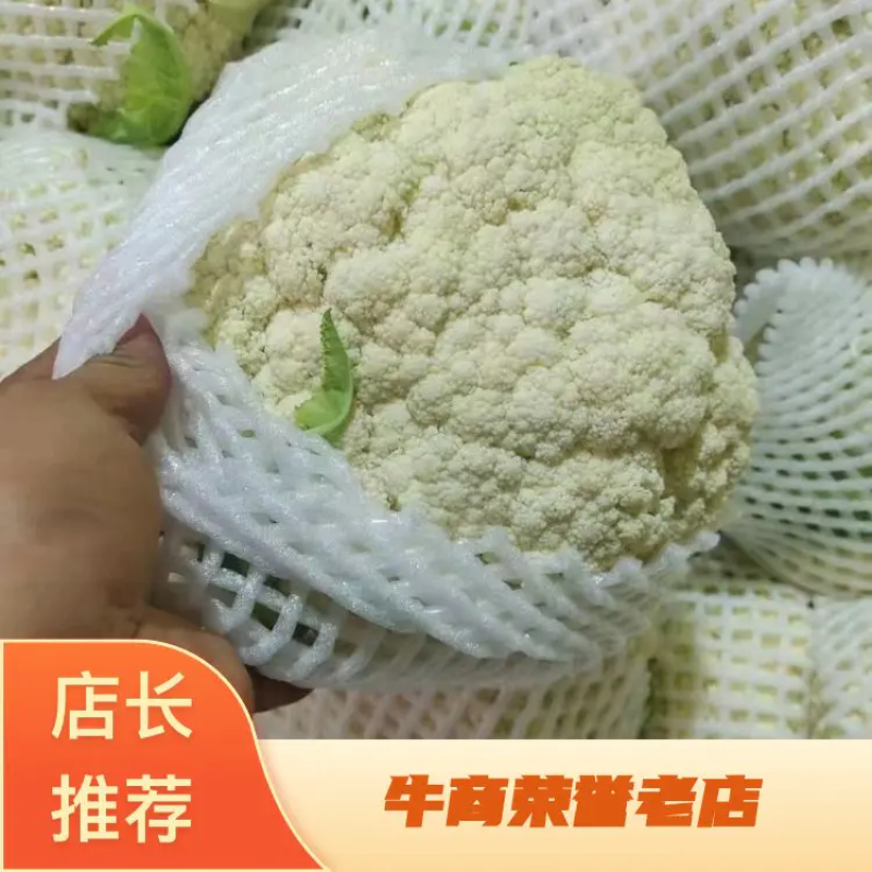 精品花菜有机花青梗白面精品商超**产地直销欢迎联系