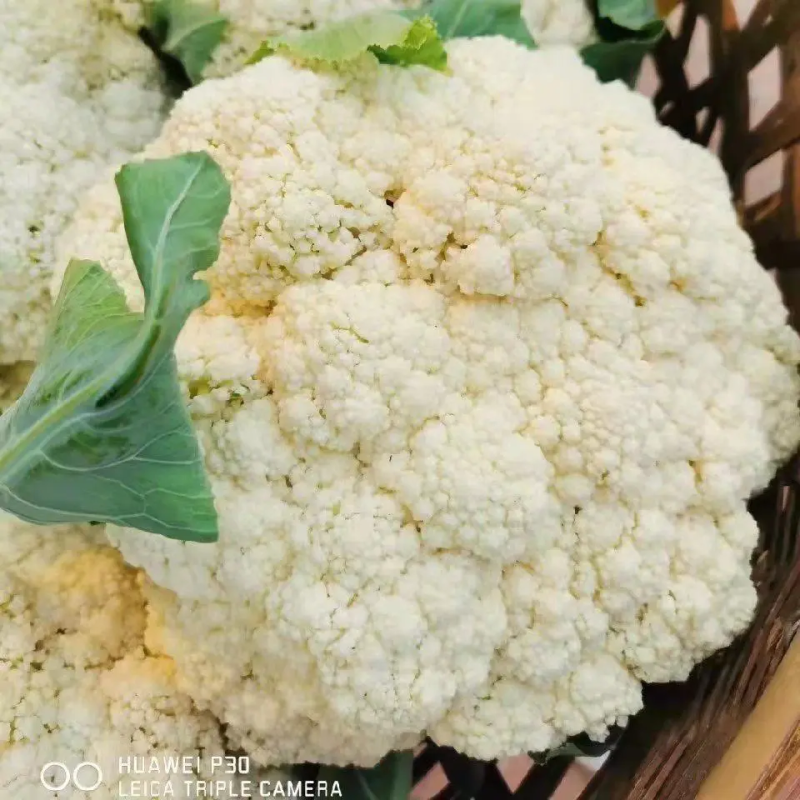 精品花菜有机花青梗白面精品商超**产地直销欢迎联系
