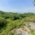 北碚公园里的农家小院150平出禾且5000一年，环境优美