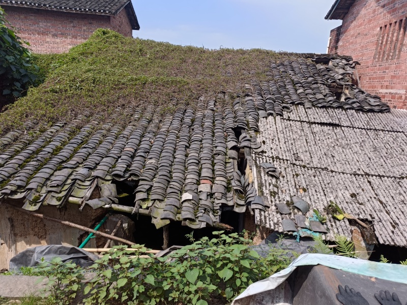 重庆北碚私家别院240平8000一年，独门独院