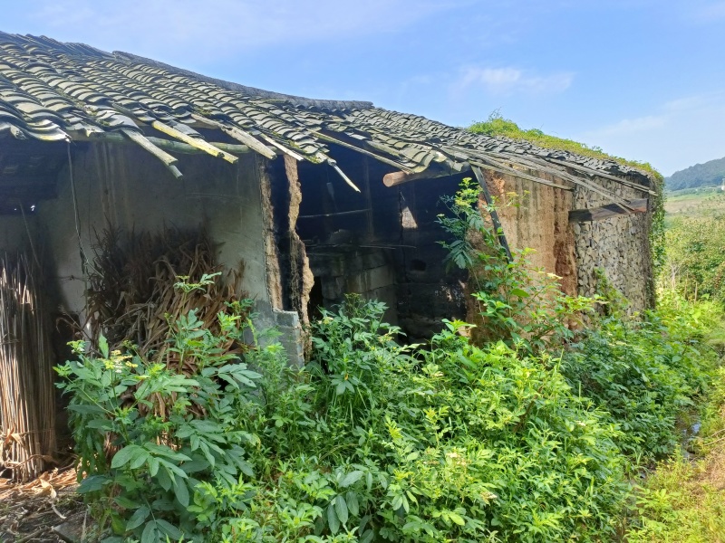 重庆北碚私家别院240平8000一年，独门独院