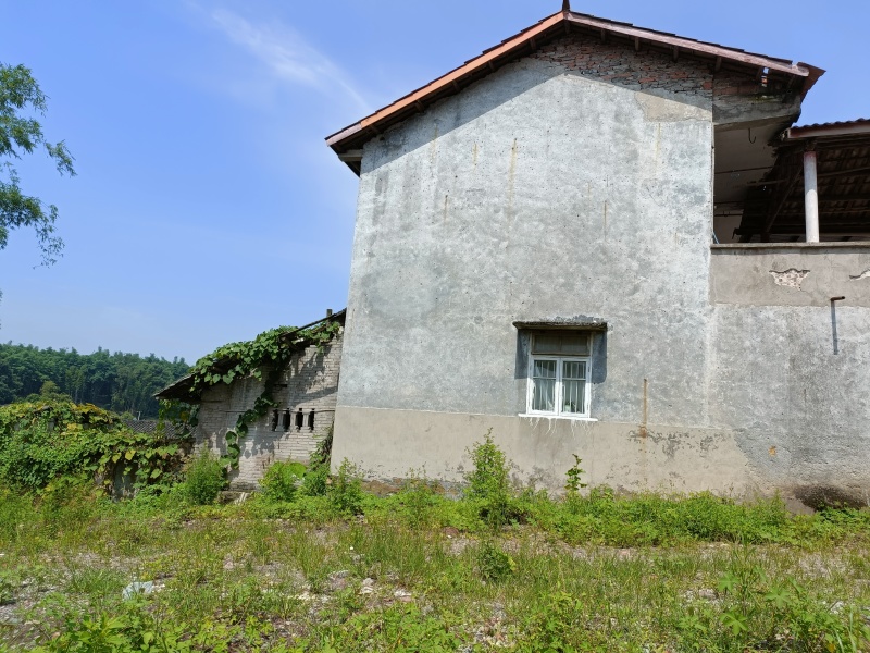重庆北碚私家别院500平10000一年，希望能留一个厨房