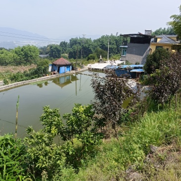 重庆北碚私家别院180平，独门独院，环境非常的好