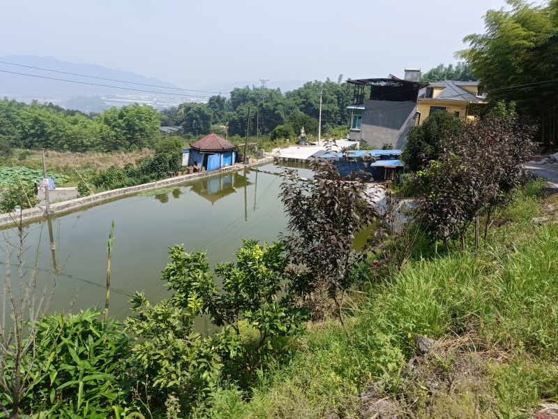 重庆北碚私家别院180平，独门独院，环境非常的好