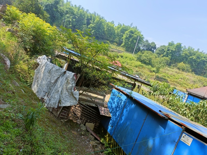 重庆北碚私家别院180平，独门独院，环境非常的好