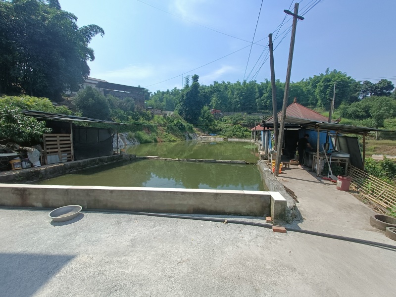 重庆北碚私家别院180平，独门独院，环境非常的好