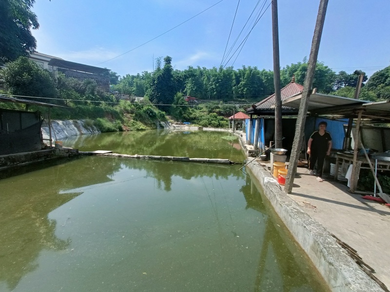 重庆北碚私家别院180平，独门独院，环境非常的好