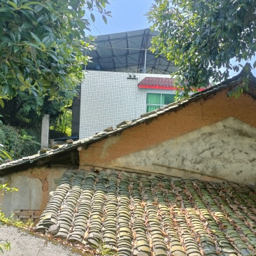 重庆北碚200多平农家小院6000一年，修建的还是很好，