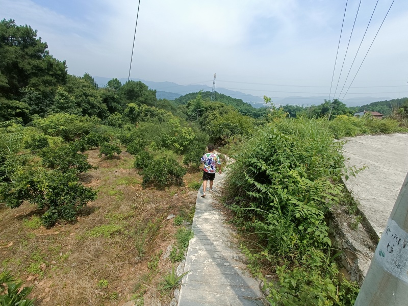 重庆北碚200多平农家小院6000一年，修建的还是很好，