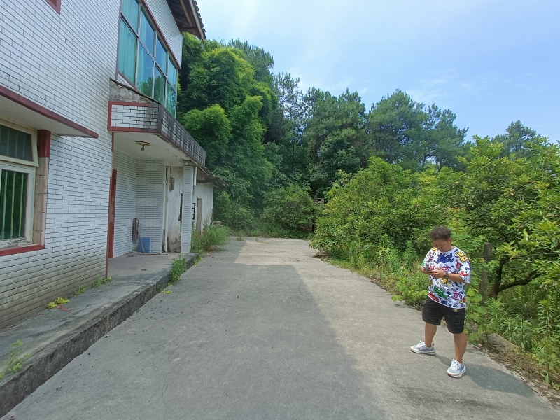 重庆北碚200多平农家小院6000一年，修建的还是很好，