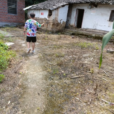 重庆北碚100平农家小院6000一年，自己加固翻新