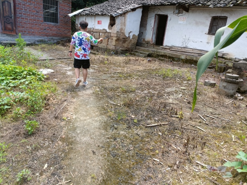 重庆北碚100平农家小院6000一年，自己加固翻新