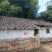 重庆北碚100平农家小院6000一年，自己加固翻新
