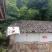 重庆北碚100平农家小院6000一年，自己加固翻新