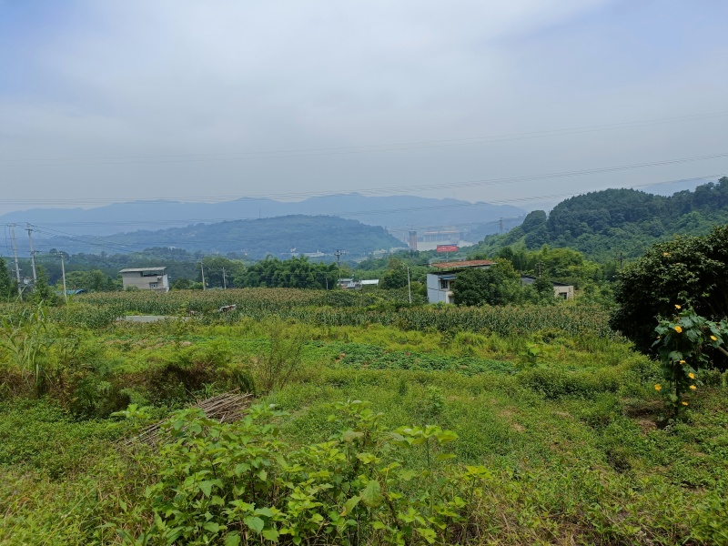 重庆北碚100平农家小院6000一年，自己加固翻新
