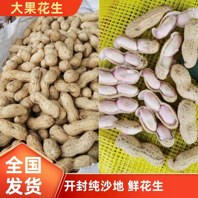 开封大果花生已经上市，欢迎新老朋友来电咨询