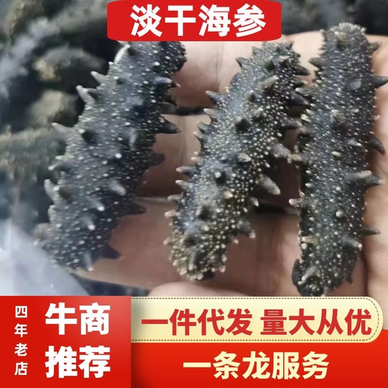辽宁大连长海县海参淡干海参500克一件代发包邮