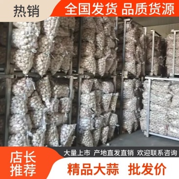 【精选】精品大蒜江苏精品干蒜一手货源质优价优欢迎咨询