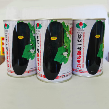 广东黑皮大冬瓜种子南方种植粉皮冬瓜春夏秋季播台农一号冬瓜