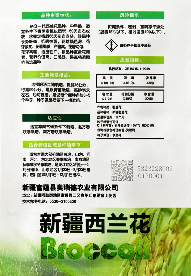 西兰花小米粒生长周期短耐抽薹生长周期短大田高产
