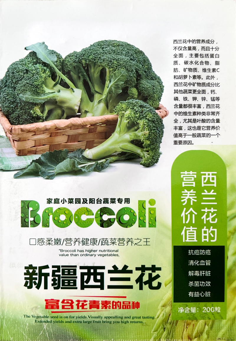 西兰花小米粒生长周期短耐抽薹生长周期短大田高产