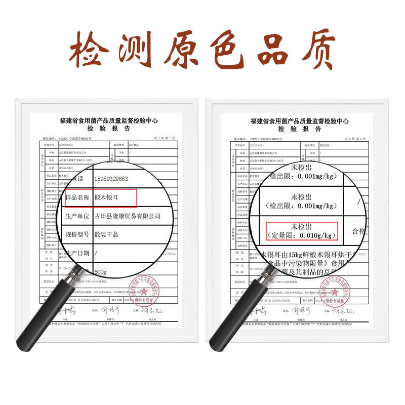 椴木银耳杜鹃厂家批发福建古田特级去根椴木小银耳无硫雪耳