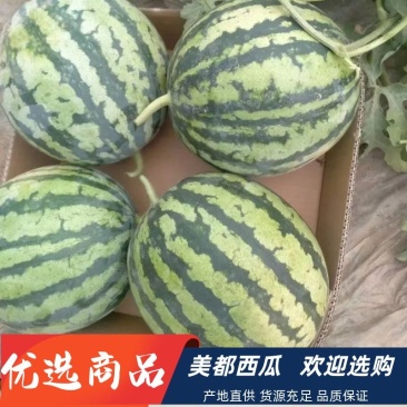 西瓜，美都西瓜，甜度高，口感好，欢迎老板选购