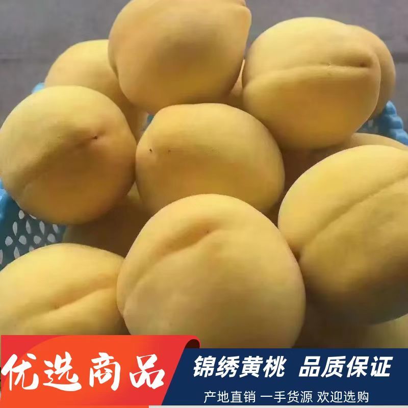 锦绣黄桃囗感脆甜入囗化渣正宗高山货欢迎下单联系！！！
