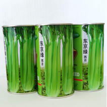 西芹种子京东绿纤维少绿杆耐热产量高100克基地种植