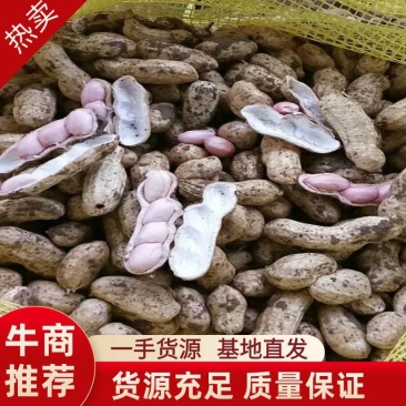 花生四粒红鲜花生，产地直销，货源充足，品质保证。