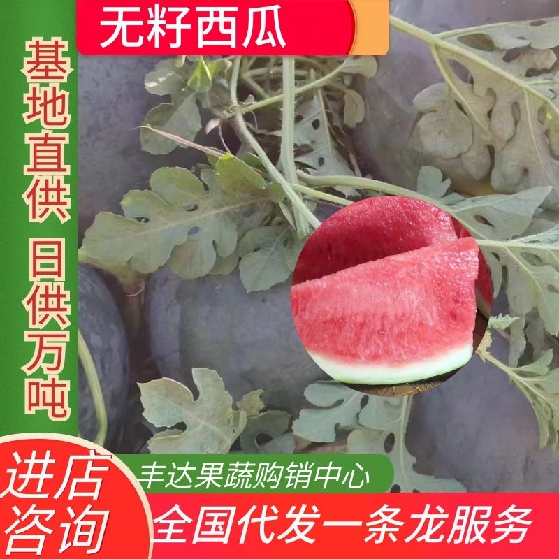 《精品》黑无籽西瓜大量上市包成熟度保质量视频看货