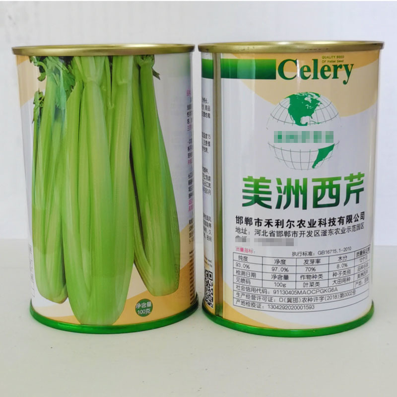 美洲西芹种子中熟长势强耐寒产量高纤维少基地种植