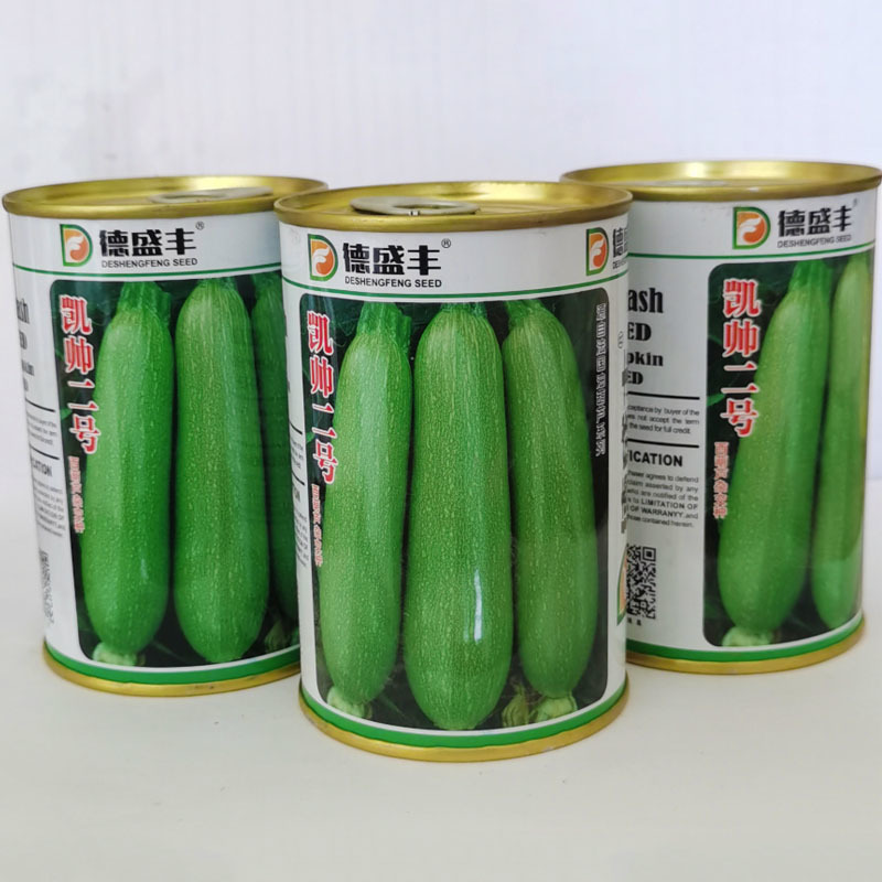 西葫芦种子耐高温油绿型抗病毒高产凯特2号基地品种
