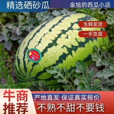 宁夏硒砂瓜，13糖甜度高，找车装货一条龙服务，日供万吨
