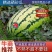 宁夏硒砂瓜，13糖甜度高，找车装货一条龙服务，日供万吨