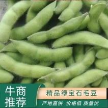 山东毛豆绿宝石毛豆大量上市产地直销欢迎来电