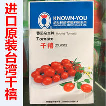 台湾农友千禧小番茄种子粉红圣女果种子原装进口甜度高口