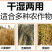 养殖厂干湿两用秸秆揉丝机养殖牛羊铡草机卧式铡揉丝机