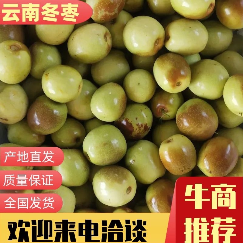 2025年云南冬枣，糖度24，皮薄肉厚多汁，皮色漂亮光滑