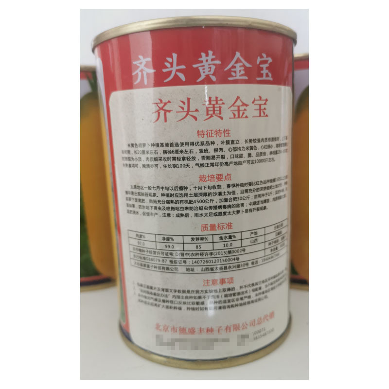 齐头黄胡萝卜种子皮色鲜艳炖煮味道好春秋基地种植