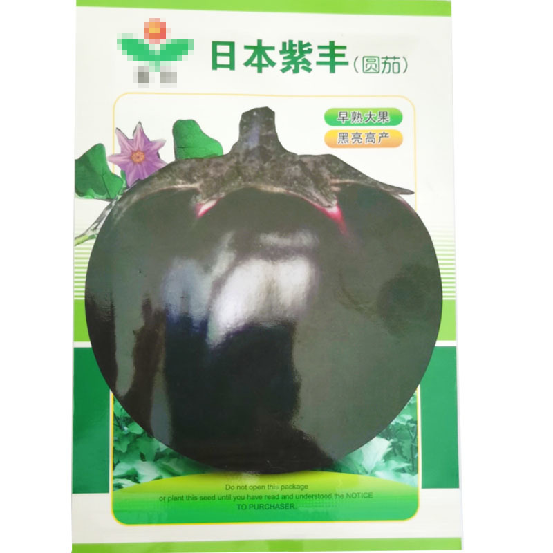 日本紫丰黑圆茄种子早熟大果黑亮度基地品种