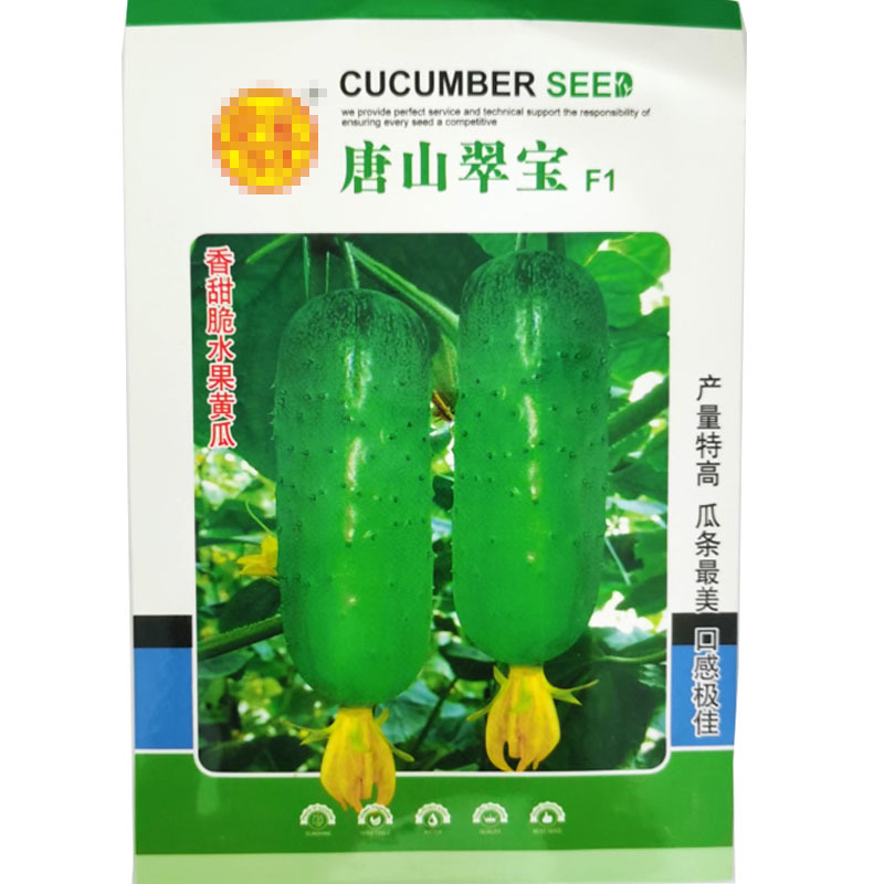 唐山翠宝旱黄瓜种子节节做瓜全雌春秋产量高瓜条美