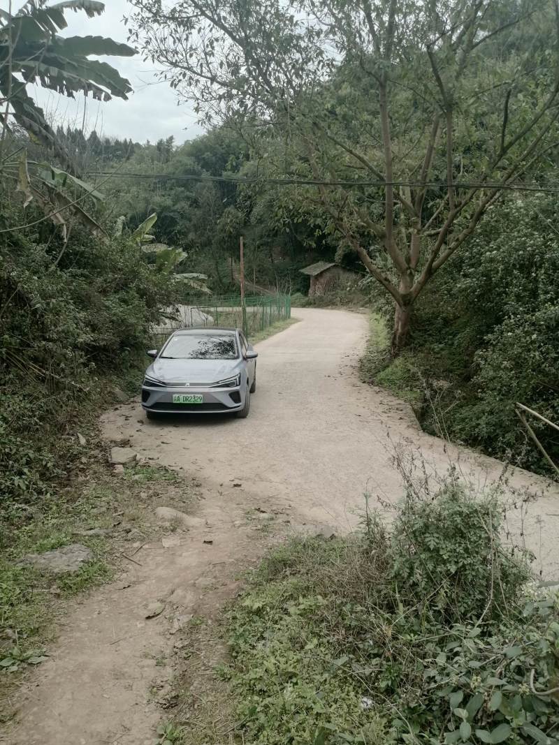 巴南安澜镇20亩菜地